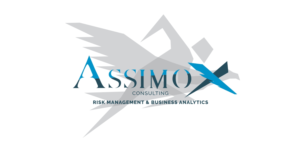 ASSIMOX CONSULTING S.R.L.   ASSIMOX CONSULTING S.R.L.